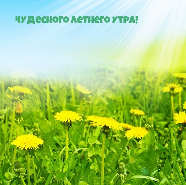 ��������: ��������� ������� ����!