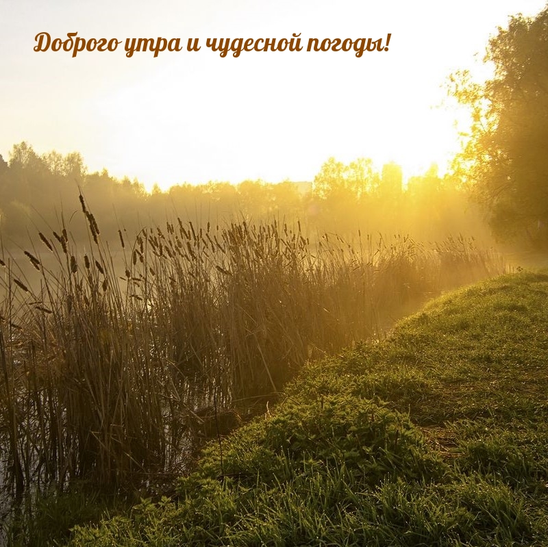 Картинка: Доброго утра и чудесной погоды!