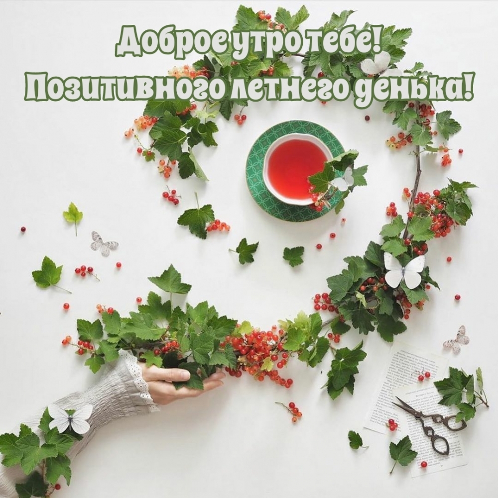 ��������: ������ ���� ����! ����������� ������� ������!