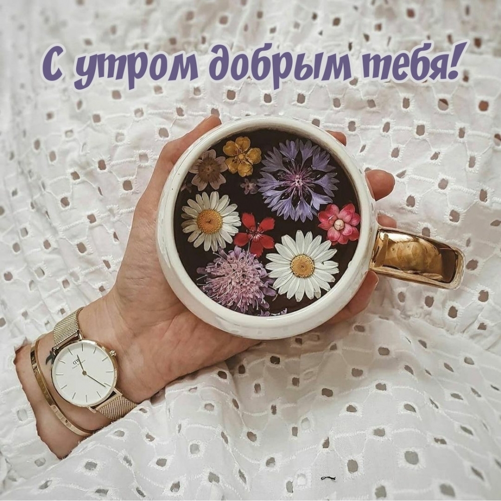 Картинка: С утром добрым тебя!