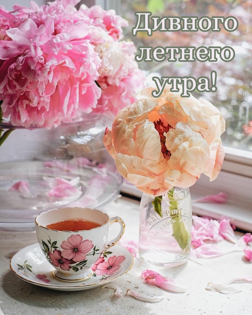 Картинка: Дивного летнего утра!