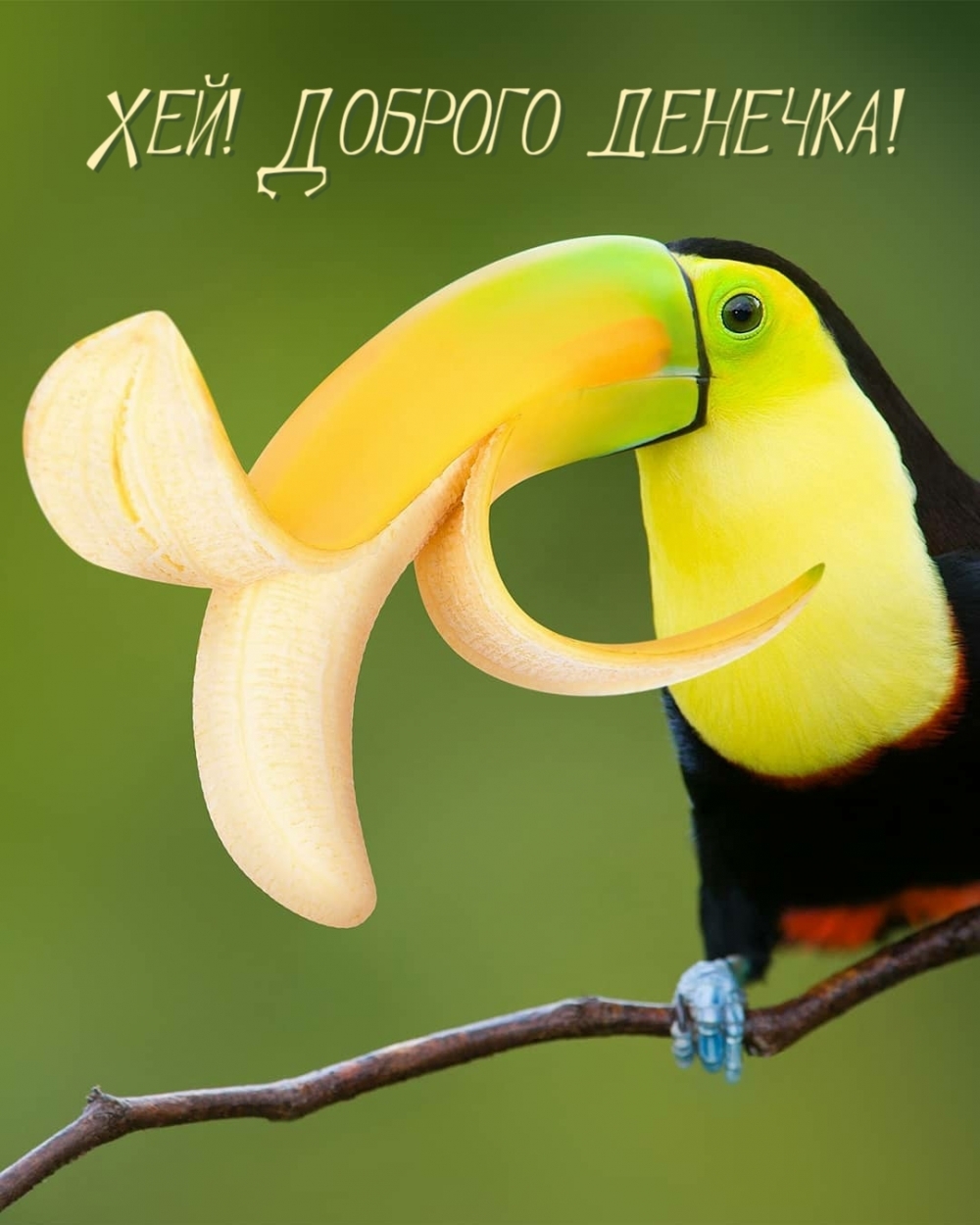 Картинка: Хей! Доброго денечка!