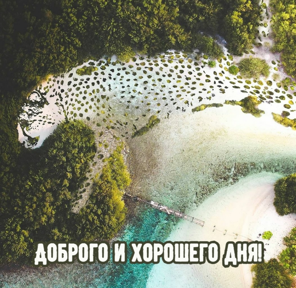 Картинка: Доброго и хорошего дня!