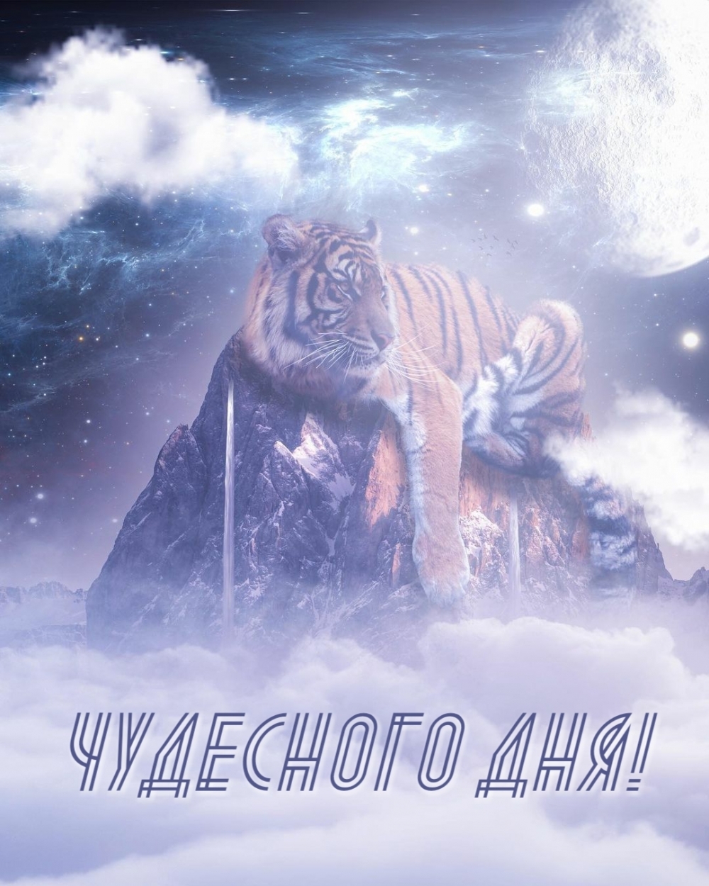 Картинка: Чудесного дня!