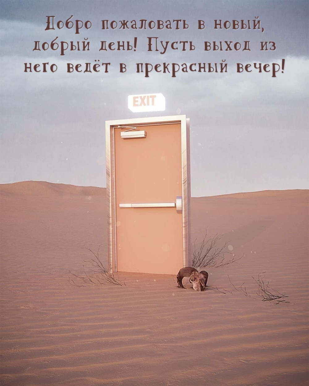 ��������: ����� ���������� � �����, ������ ����!