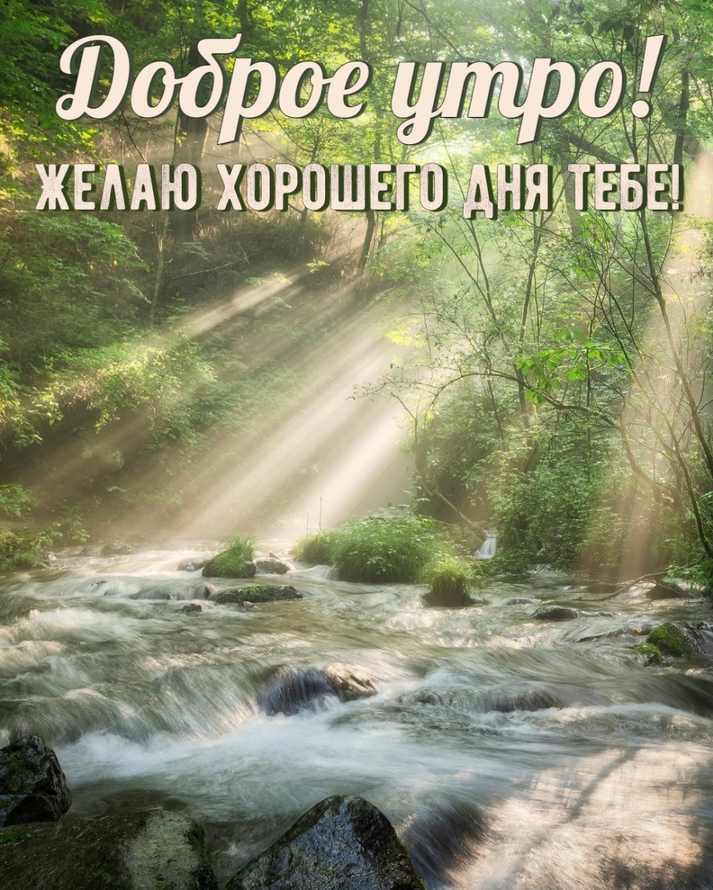 Картинка: Доброе утро! Желаю хорошего дня тебе!