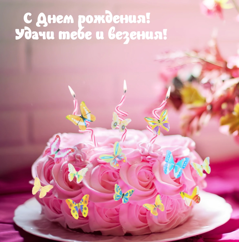 ��������: � ���� ��������! ����� ���� � �������!