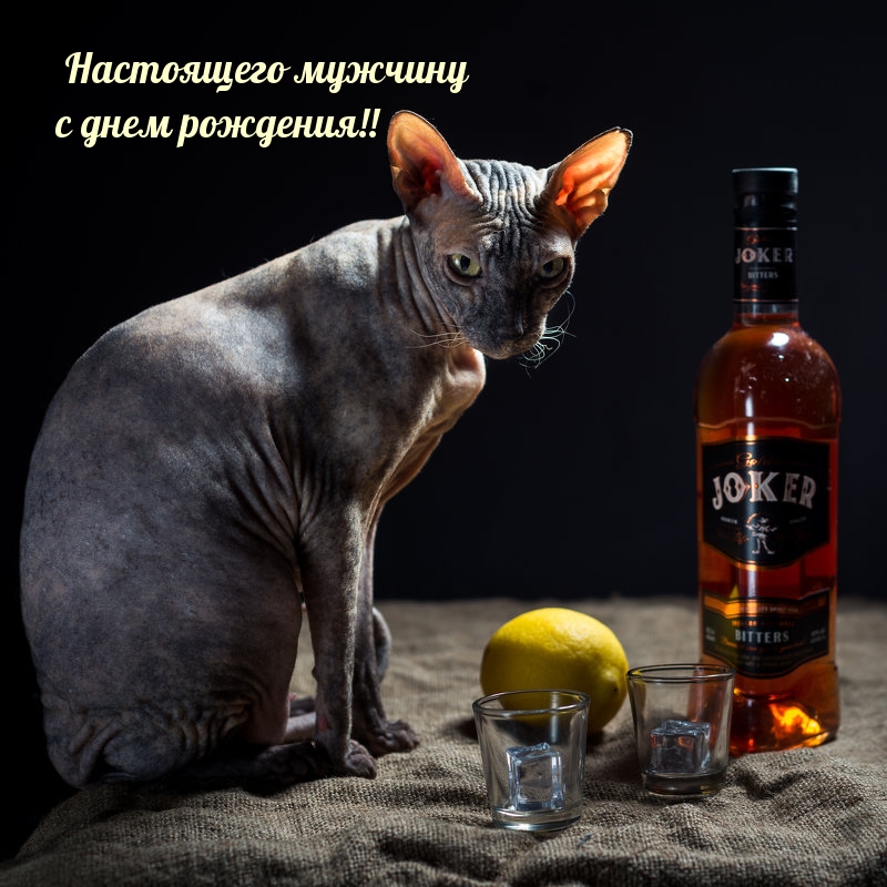 ��������: ���������� ������� � ���� ��������!