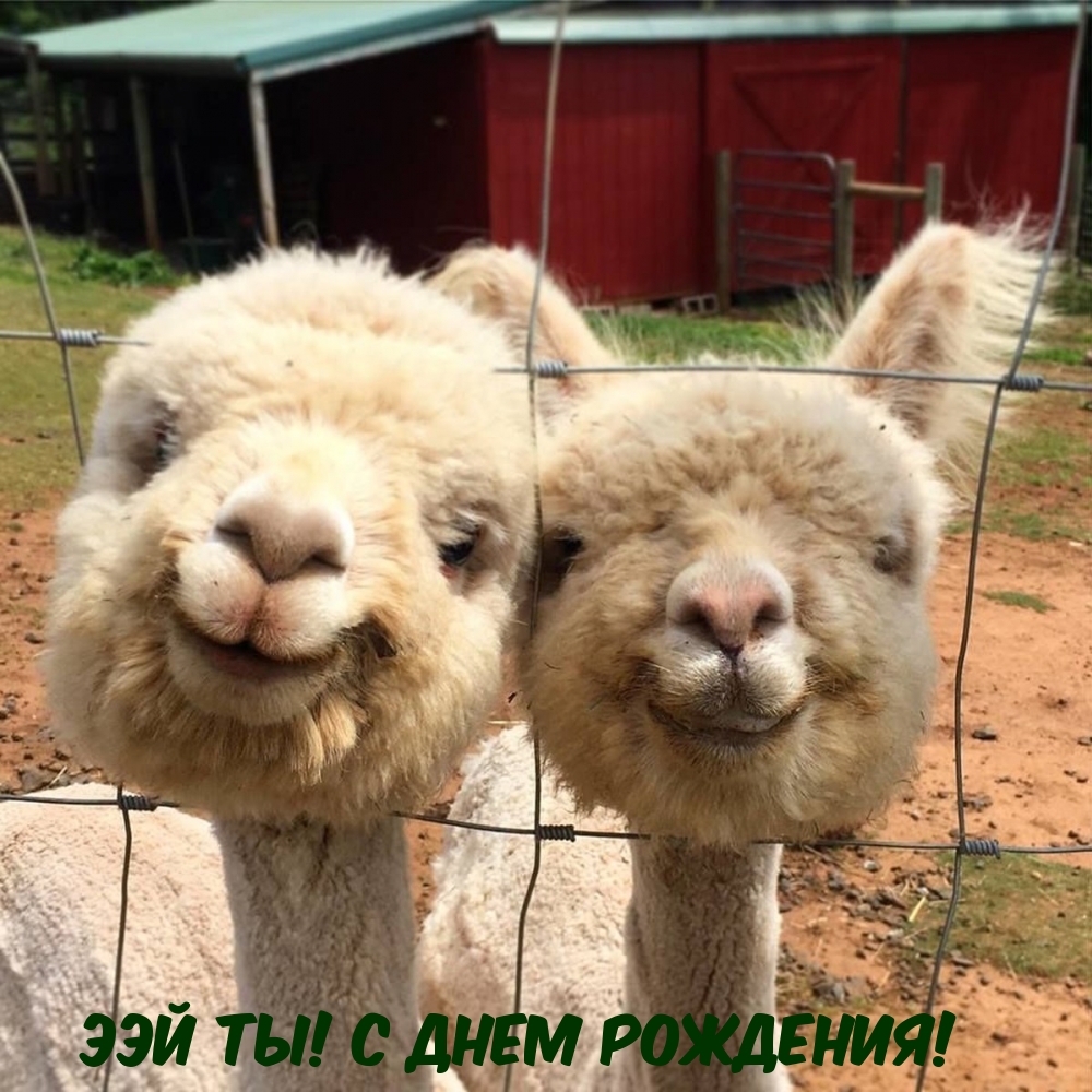 Картинка: Ээй ты! С днем рождения!