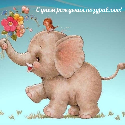 ��������: � ���� �������� ����������!