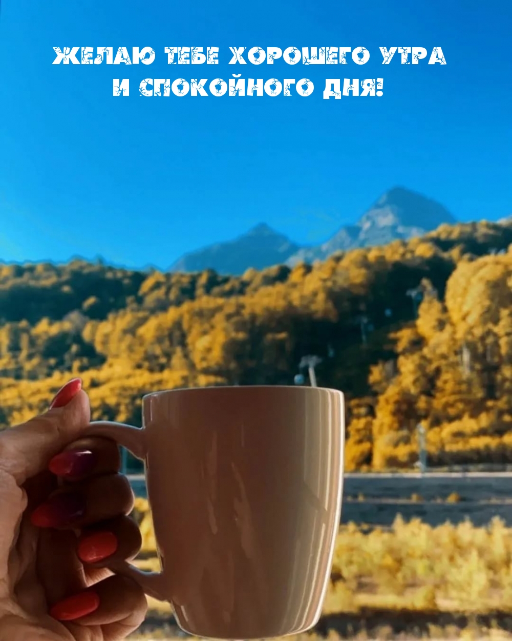 ��������: ����� ���� �������� ���� � ���������� ���!