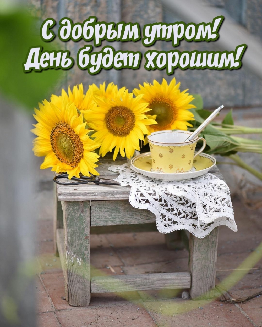 ��������: � ������ �����! ���� ����� �������!