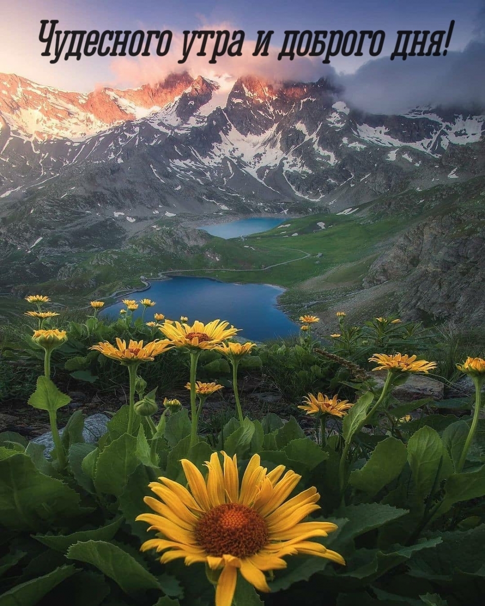 Картинка: Чудесного утра и доброго дня!