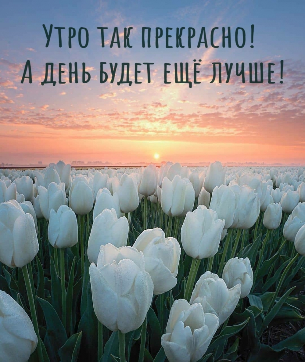 :   !     !