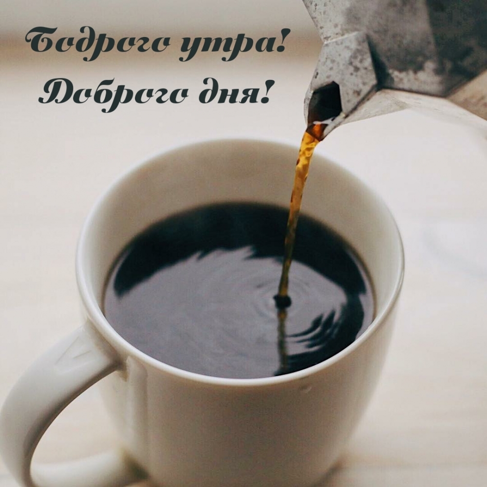 Картинка: Бодрого утра! Доброго дня!