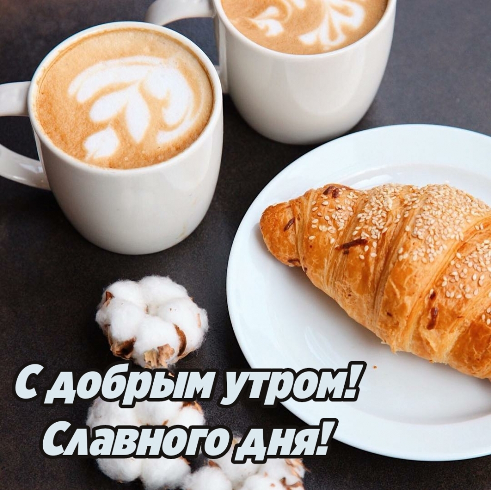 ��������: � ������ �����! �������� ���!