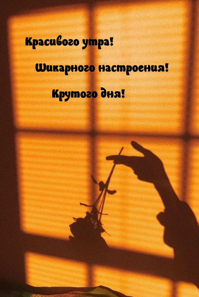 Картинка: Красивого утра! Шикарного настроения! Крутого дня!