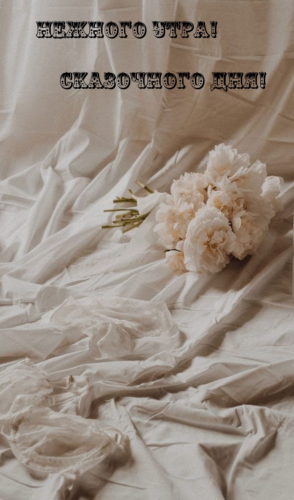 Картинка: Нежного утра! Сказочного дня!