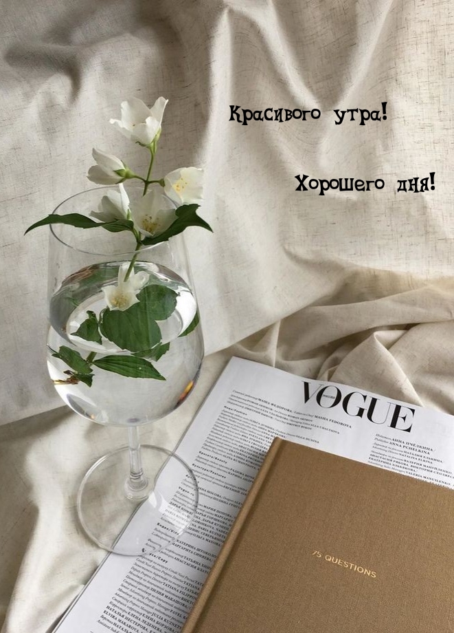 Картинка: Красивого утра! Хорошего дня!