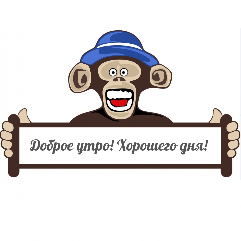 Картинка: Доброе утро! Хорошего дня!