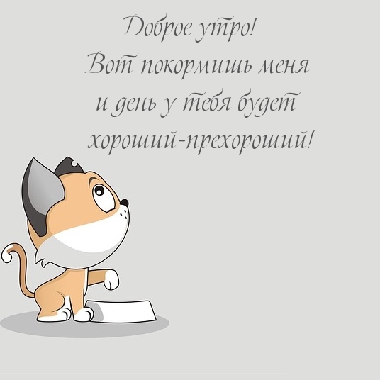 Картинка: Доброе утро! Вот покормишь меня и день у тебя будет хороший