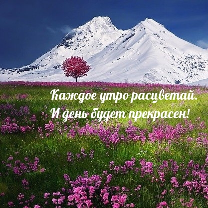 Картинка: Каждое утро расцветай. И день будет прекрасен!