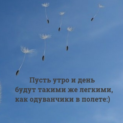 Картинка: Пусть утро и день будут такими же легкими, как одуванчики в полете:)