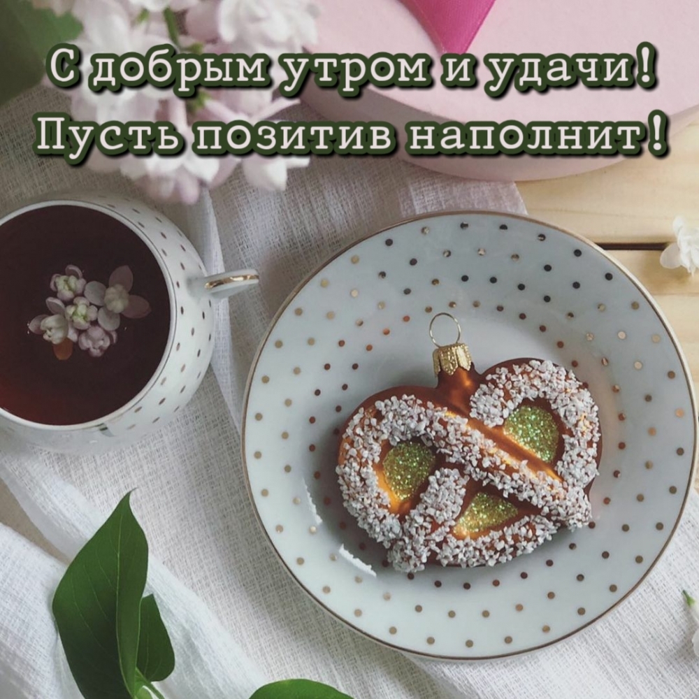 ��������: � ������ ����� � �����! ����� ������� ��������!