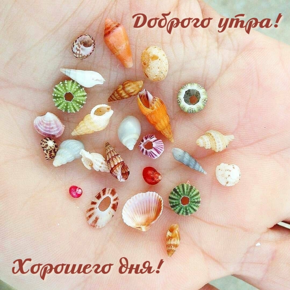 Картинка: Хорошего дня! Доброго утра!