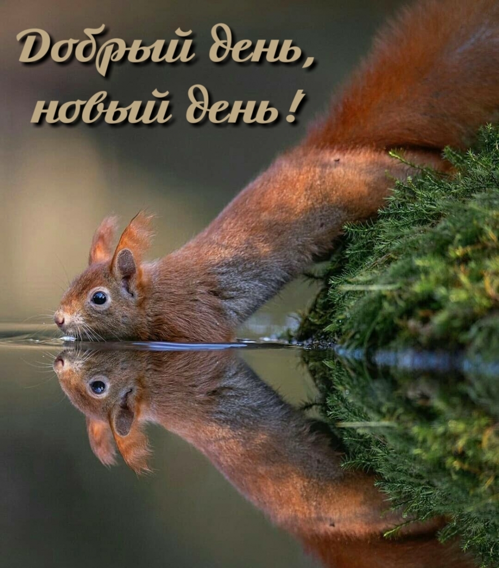 ��������: ������ ����, ����� ����!