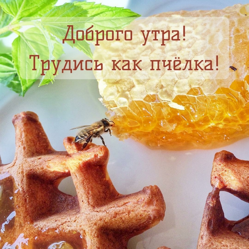 Картинка: Доброго утра! Трудись как пчёлка!