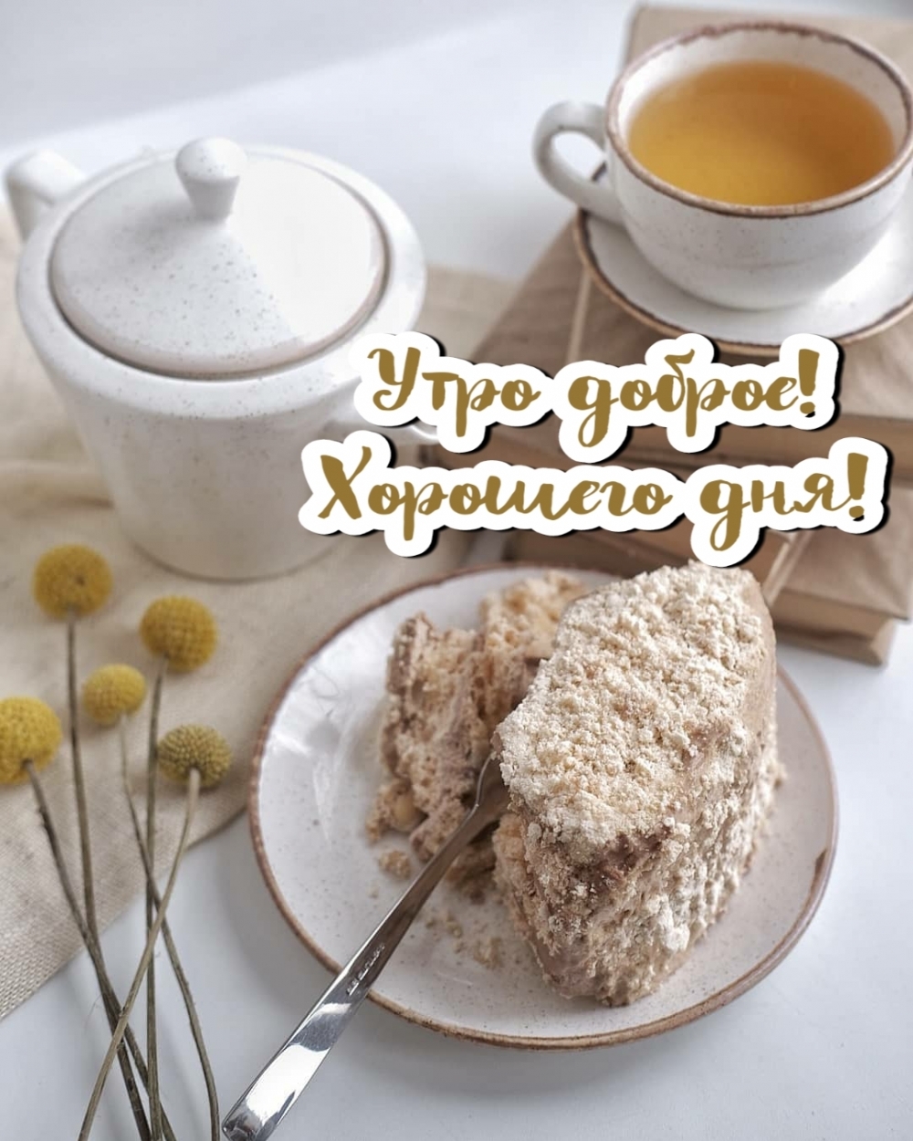 ��������: ���� ������! �������� ���!