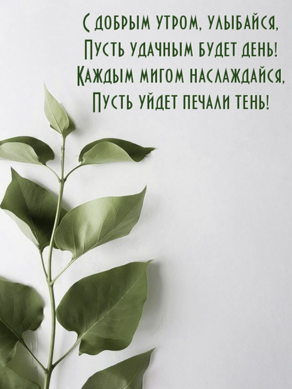 ��������: � ������ �����, ��������, ����� ������� ����� ����!