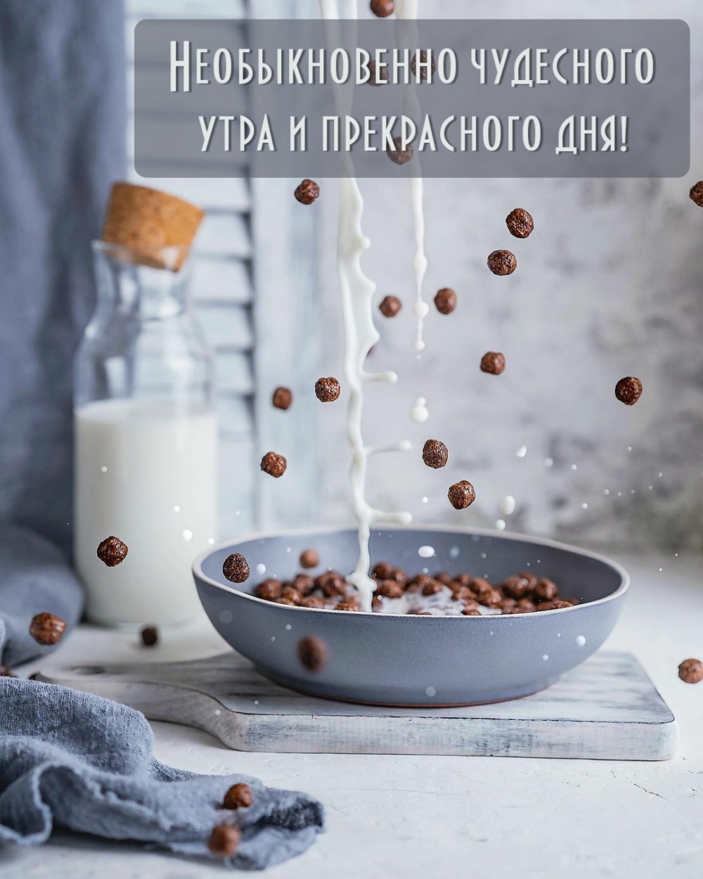 ��������: ������������� ��������� ���� � ����������� ���!