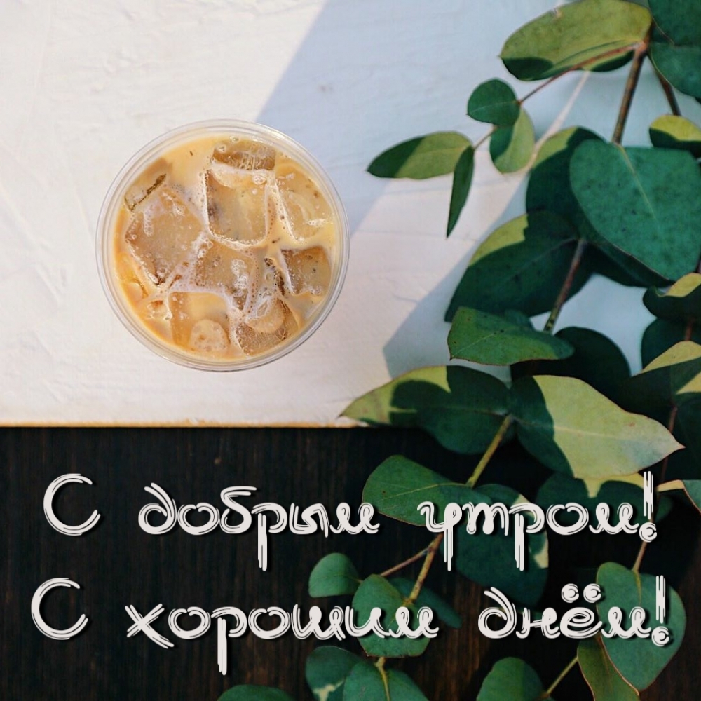 ��������: � ������ �����! � ������� ����!