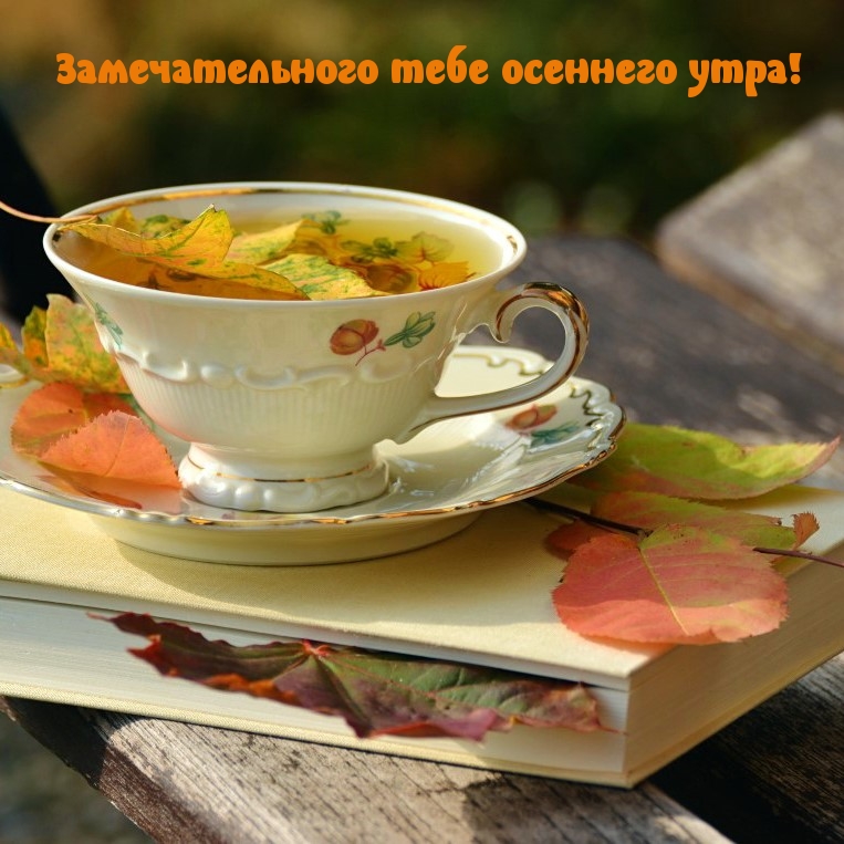 Картинка: Замечательного тебе осеннего утра!