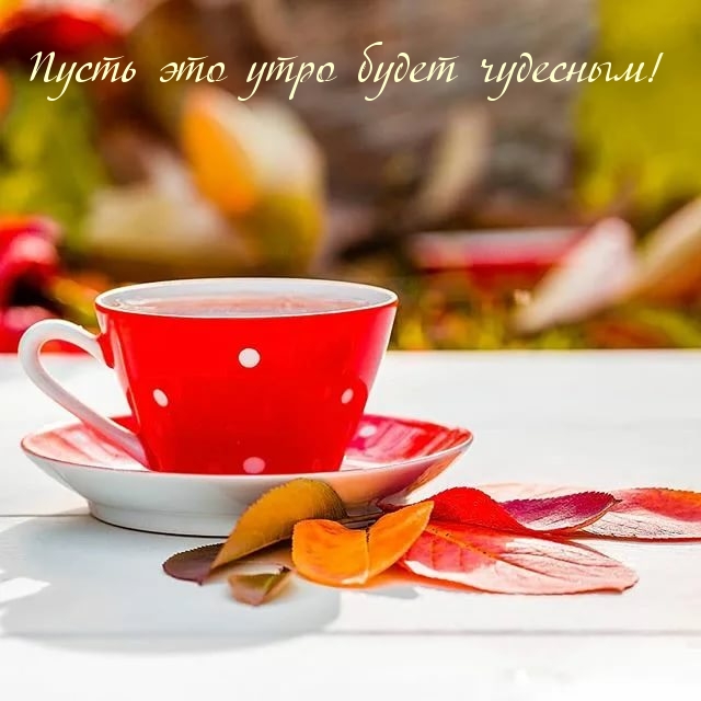 Картинка: Пусть это утро будет чудесным!