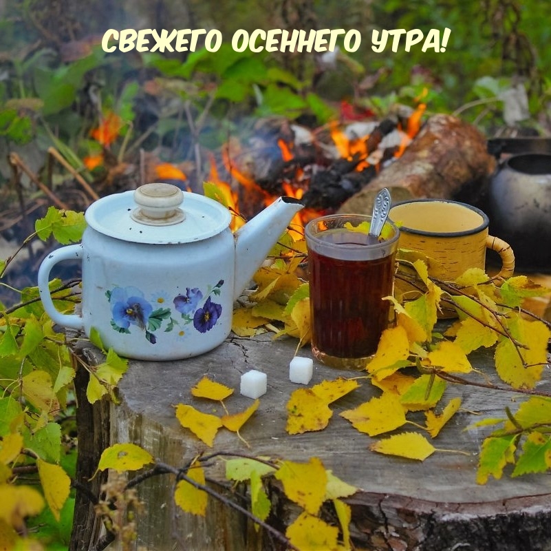 Картинка: Свежего осеннего утра!