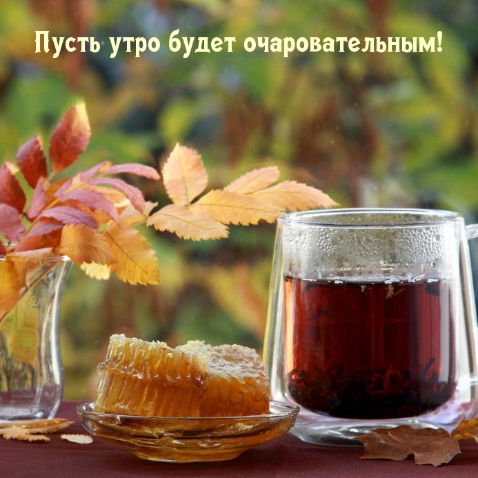 ��������: ����� ���� ����� ��������������!