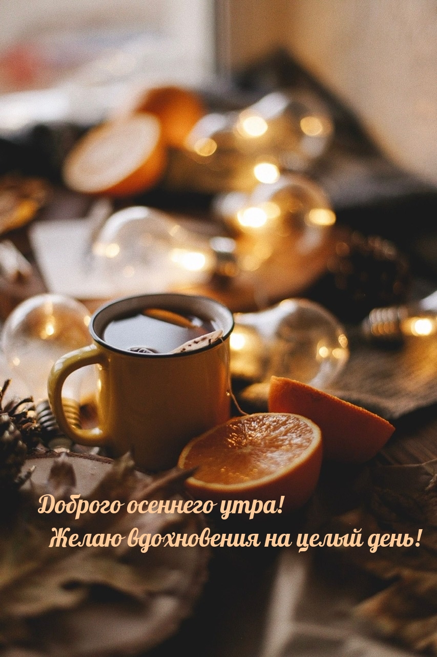 ��������: ������� �������� ����! ����� ����������� �� ����� ����!