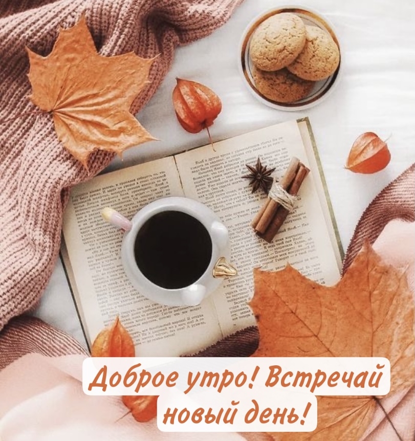 ��������: ������ ����! �������� ����� ����!