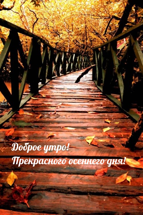Картинка: Доброе утро! Прекрасного осеннего дня!