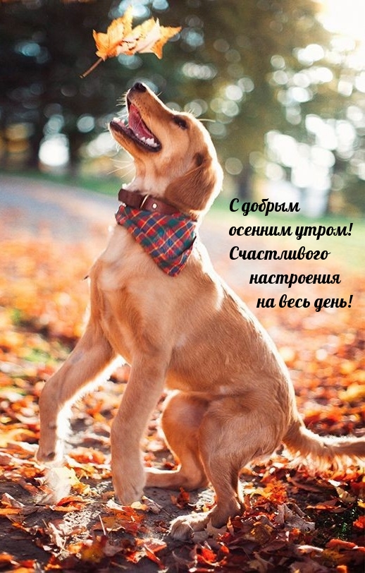 ��������: ���������� �������� �� ������� ����