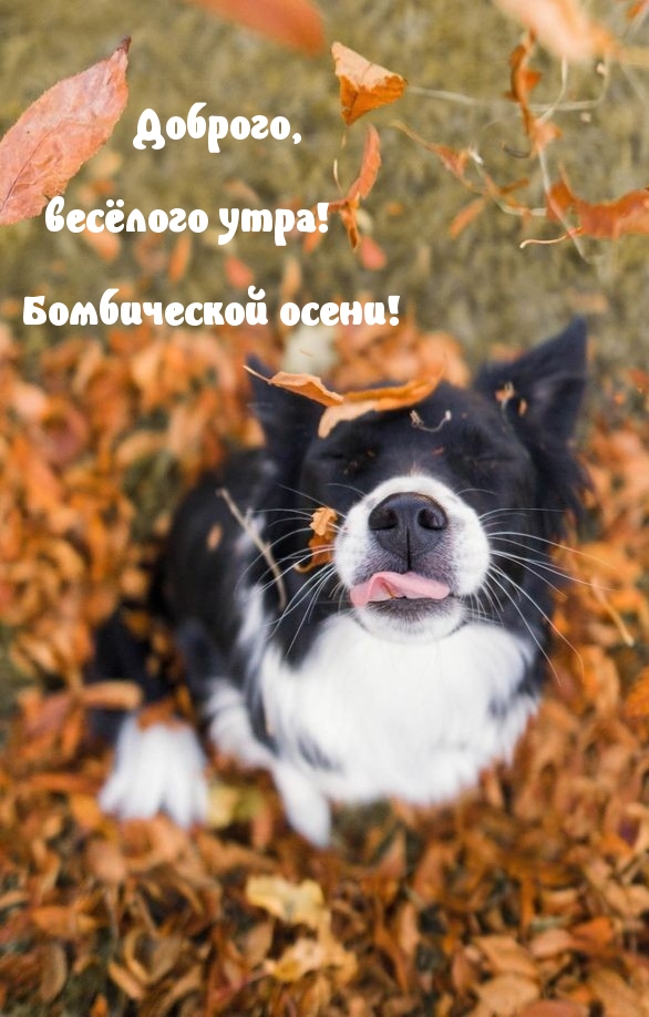 ��������: �������, �������� ����!