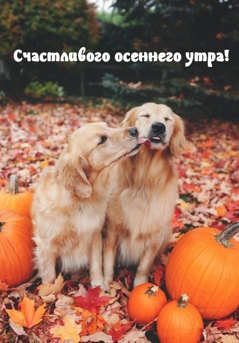 ��������: ����������� �������� ����!