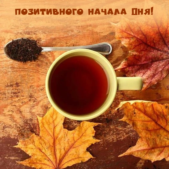 Картинка: Позитивного начала дня!