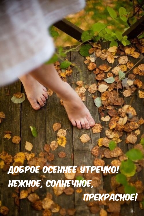 ��������: ������ ������� �������! ������, ���������, ����������!