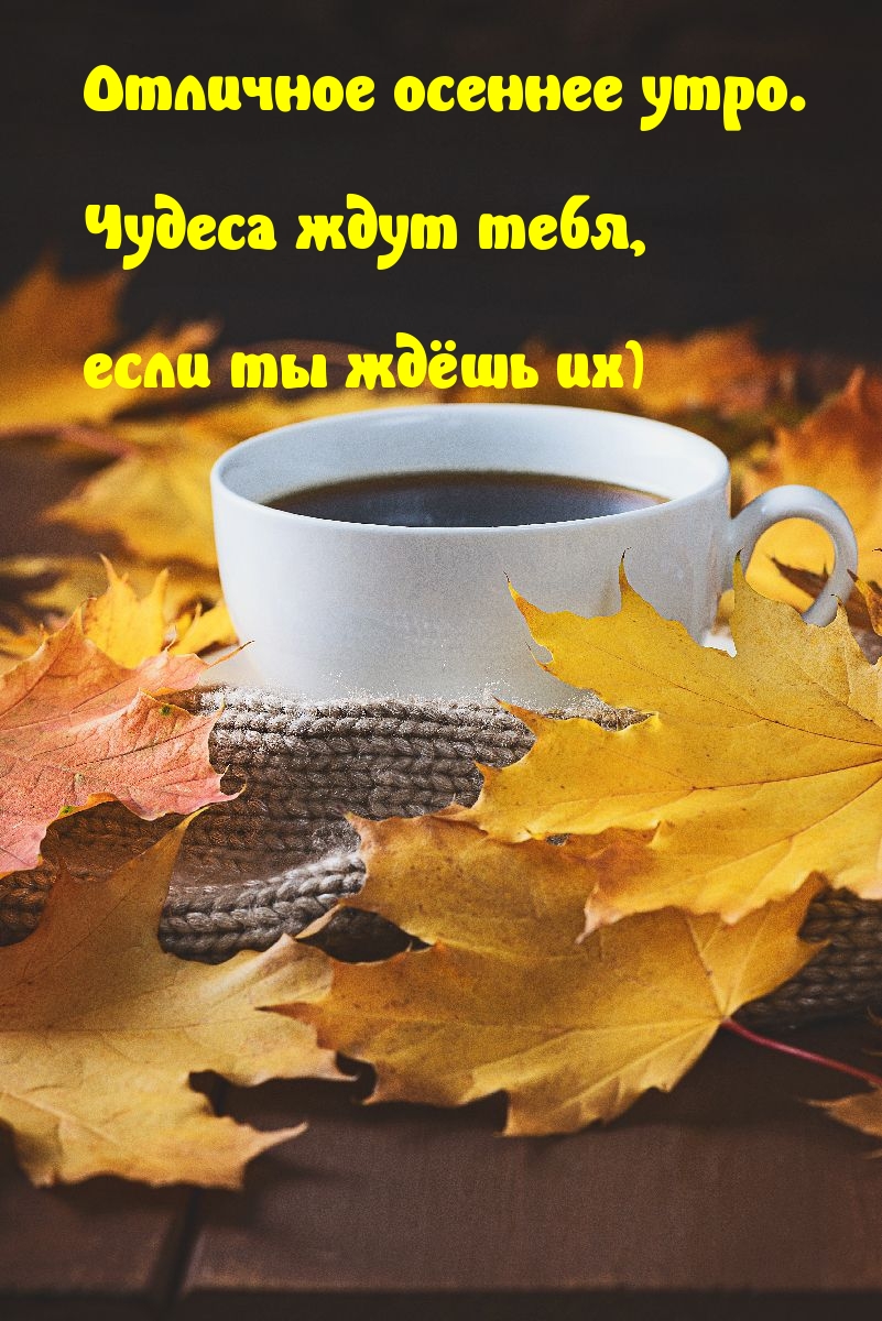 ��������: �������� ������� ����! ������ ���� ����