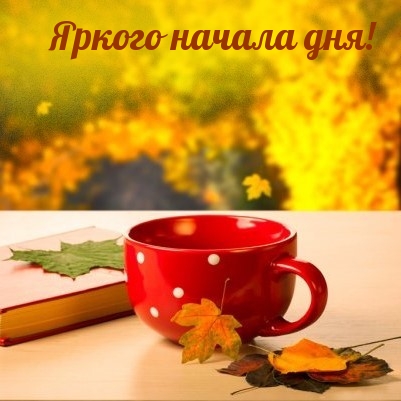 Картинка: Яркого начала дня!