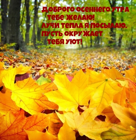 Картинка: Доброго осеннего утра тебе желаю!